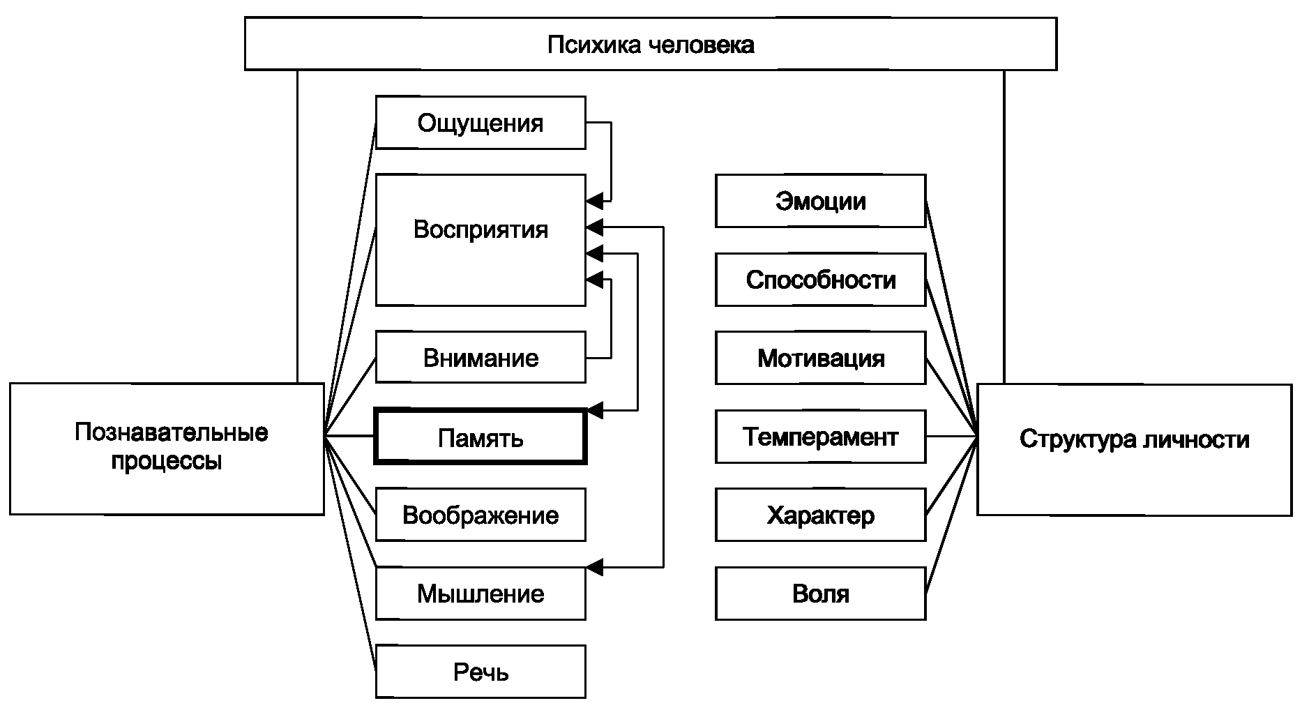 Какие возможности человека воспроизводит